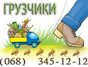 Грузчики,  Грузоперевозки,  Разнорабочие.  Квартирные и офисные переезды