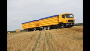 Перевезення зерновозами с/г вантажів по Україні.