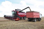  Перевозка зерновых грузов по Украине